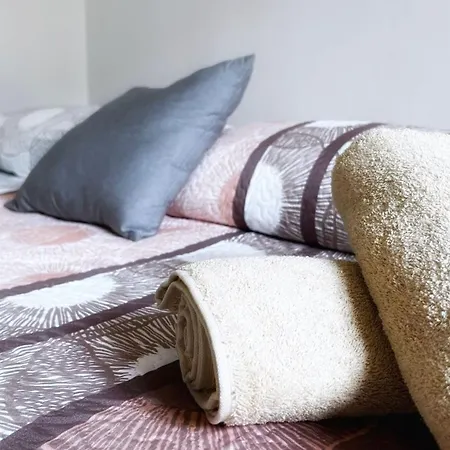 Centrica Y Amplia Vivienda Turistica Con Wifi